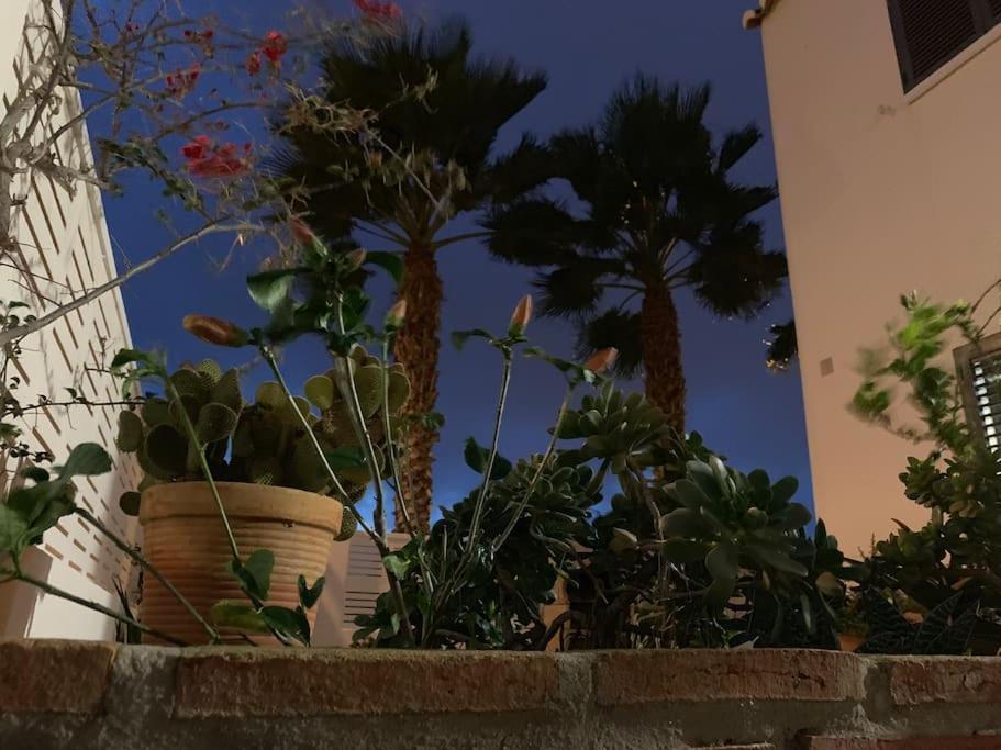 Villa Cinco Palmas Алмеримар Екстериор снимка
